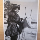 VANHA Postikortti Lappi Poro 1950-luku - pikkukuva 1