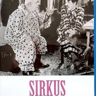 Sirkus (Charlie Chaplin) (Blu-ray+DVD) - pikkukuva 1