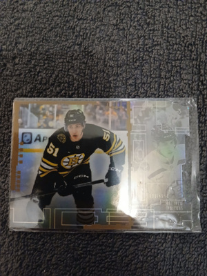Matthew Poitras - Boston Bruins
