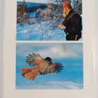 Hannu Hautala : Winter on the Finnish taiga - pikkukuva 2