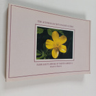 National Audubon Society : Familiar Flowers of North Amer... - pikkukuva 1
