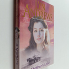 Lyn Andrews : A Mother's Love - pikkukuva 1