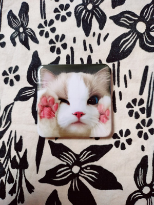 ~Kissa jääkaappimagneetti~