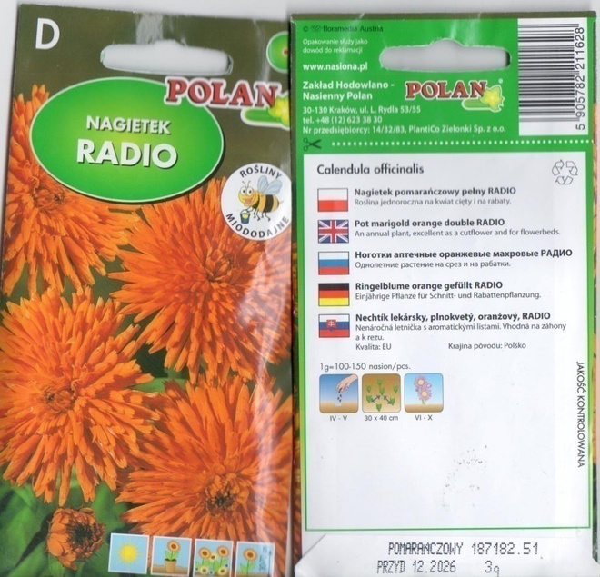 Kehäkukka "Radio" siemenet #