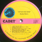 MUDDY WATERS ~ After The Rain ~ LP - pikkukuva 3