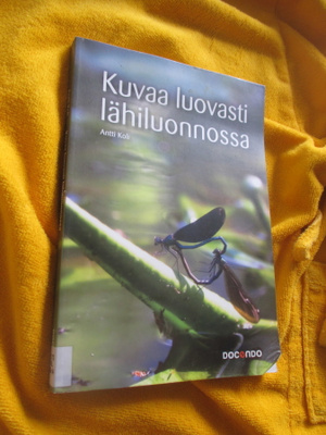 Antti Koli : KUVAA LUOVASTI LÄHILUONNOSSA