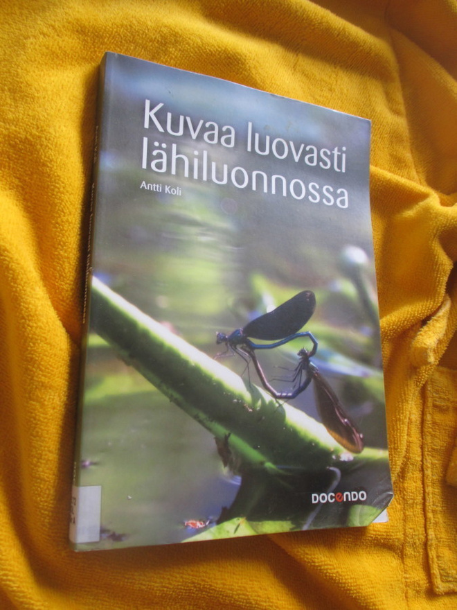 Antti Koli : KUVAA LUOVASTI LÄHILUONNOSSA