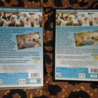 VHS + DVD varmuuskopio Suomi maailmanmestarit 1995 - pikkukuva 2