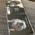 Happoradio - Kaunis Minä CD - pikkukuva 1
