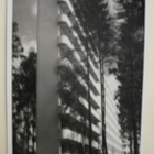 Imatra, Tiuruniemen parantola, mv valokuvapk, p. 1950-l. - pikkukuva 1