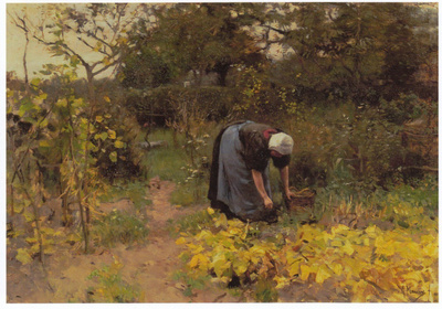 Anton Mauve: Kasvimaalla