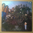 Mr Big - Photographic Smile LP - pikkukuva 2