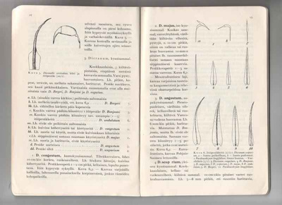 Paasio,Ilmari: Suomiehen sammalkirja, Keskusmets.Tapio 1935