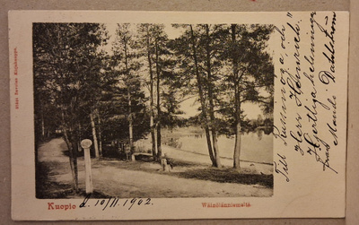 Kuopio: Wäinölänniemi o (796)