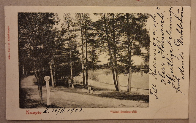 Kuopio: Wäinölänniemi o (796)