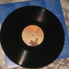 LP Carole King – Thoroughbred - pikkukuva 2
