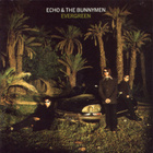 ECHO & THE BUNNYMEN: 4 x cd - pikkukuva 3