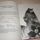 Lentonoidan poika Saamelaisia satuja - pikkukuva 3