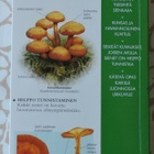 Taskuluonto- Sienet - pikkukuva 2