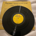 PETER GREEN: The End of The Game * GER - pikkukuva 2