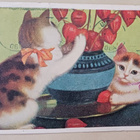 Kaksi kissaa leikkii lyhtykoisokimpulla, p. 1947 - pikkukuva 1