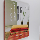 Stephen Skinner : Kodin feng shui - pikkukuva 1