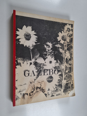 Janet Lederman : Gazebo school