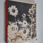 Janet Lederman : Gazebo school - pikkukuva 1