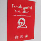 Female genital mutilation : a joint WHO/UNICEF/UNFPA stat... - pikkukuva 1