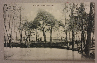 Kuopio: Joutsenlampi *** (908)