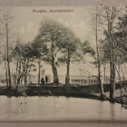 Kuopio: Joutsenlampi *** (908) - pikkukuva 1