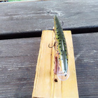 Rapala floating 11cm  Brown Trout - pikkukuva 3