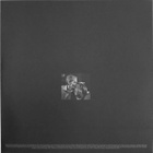 Mavis Staples - Levon Helm – Carry Me Home - pikkukuva 2