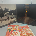 George Harrison – Living in the Material World LP - pikkukuva 2