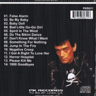 DEE DEE RAMONE something for nothing 1986-2002 ...ramones - pikkukuva 2