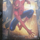 Spider-man 3 - 2 disc special edition - pikkukuva 1