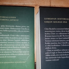 Diana Gabaldon pokkari Sudenkorento - pikkukuva 2