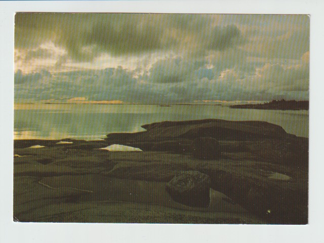 POSTIKORTTI  Suomen luonnonsuojeluliitto, Norppa-tunnus