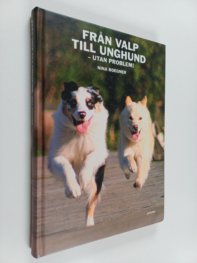 Nina Roegner : Från valp till unghund : utan problem!