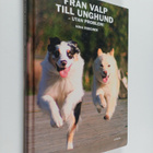 Nina Roegner : Från valp till unghund : utan problem! - pikkukuva 1