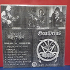 GOATPENIS - BLESSED BY WAR M-/M- U.S 2019 NOV 13 PRESS LP - pikkukuva 2