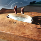 Paravan Salamander Norway 16g 6,5cm - pikkukuva 2