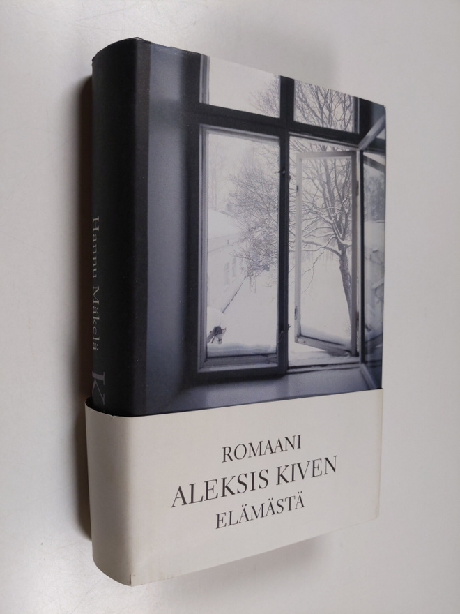 Hannu Mäkelä : Kivi : romaani