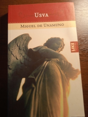 Miguel de Unamono : Usva