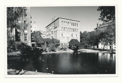TAMPERE - Kauppaoppilaitos ja Tammer - vanha kortti