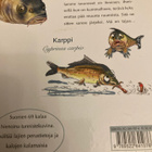 MIA  RAITANEN: SUOMEN VIEHÄTTÄVIN KALAKIRJA - pikkukuva 2