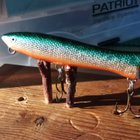 Nils Master Nirha 8cm - pikkukuva 2