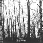 Circle - Silver 7" Vinyyli - pikkukuva 2