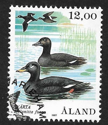 Lintuja 12,00 1987 (LAPE 22) EP O