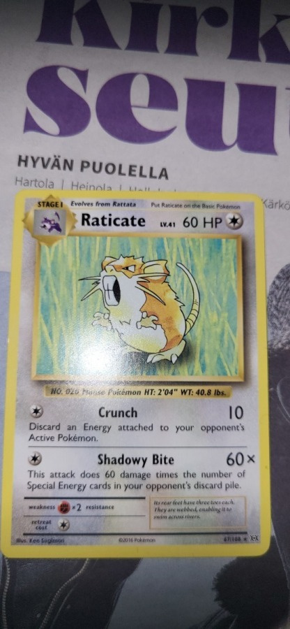 Raticate #67 Pokemon XY Evolutions RARE card